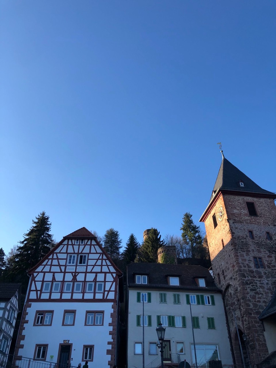 Deutschland - Ludwigshafen - Hirschhorn am Neckar. Romantisch und gemütlich 😁 mit Schloß zu besichtigen, wenn jemand 100 Stufen klettern möchte....😓