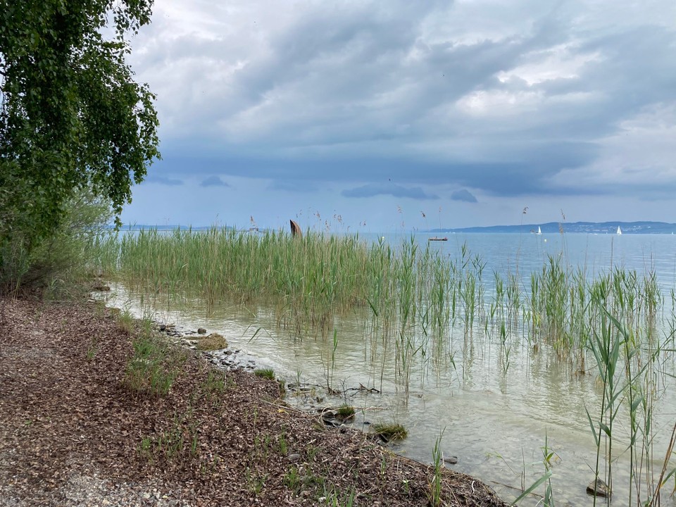 Schweiz - Langrickenbach - Bodensee
