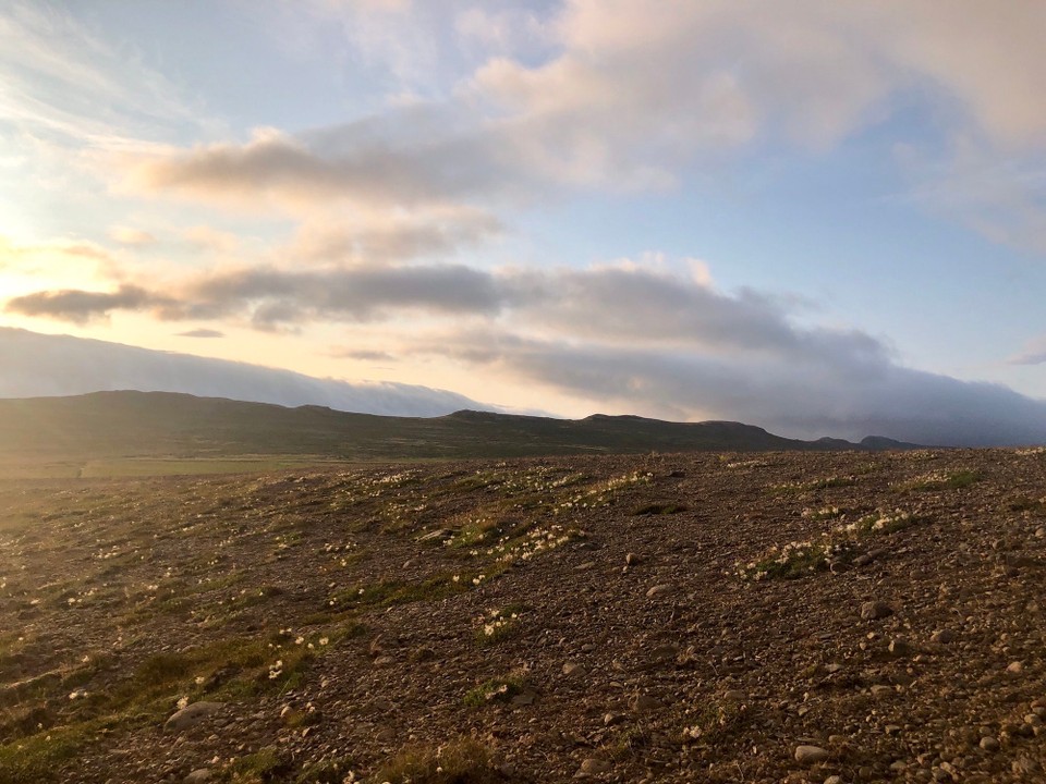 Island - Húnaþing vestra - Und Tschüss, wolkiges Vatnsnes...👍