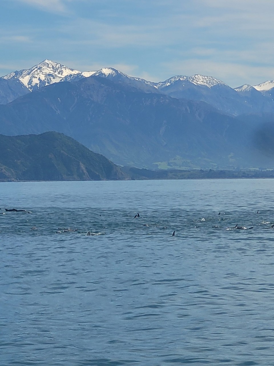 Neuseeland - Kaikoura - 