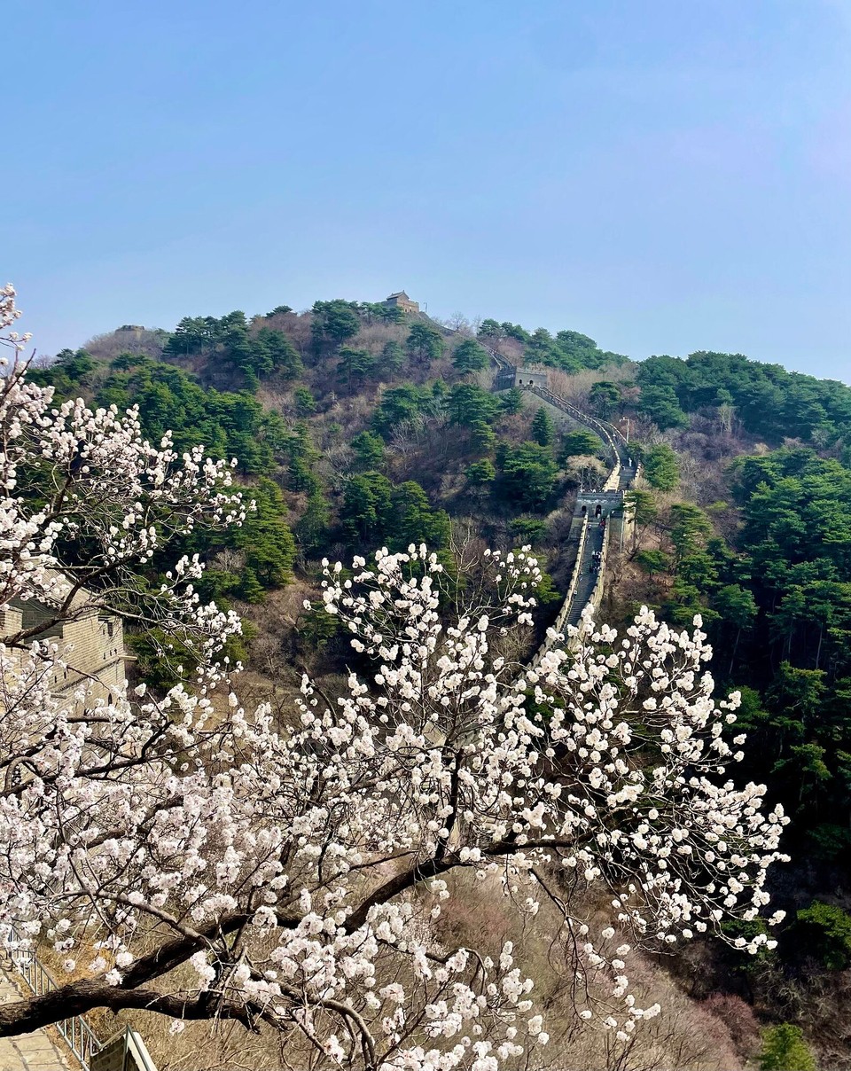 China - Beijing - 