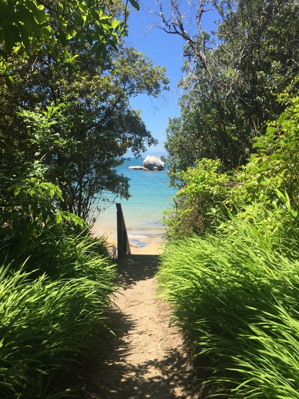 Neuseeland - Kaiteriteri - 