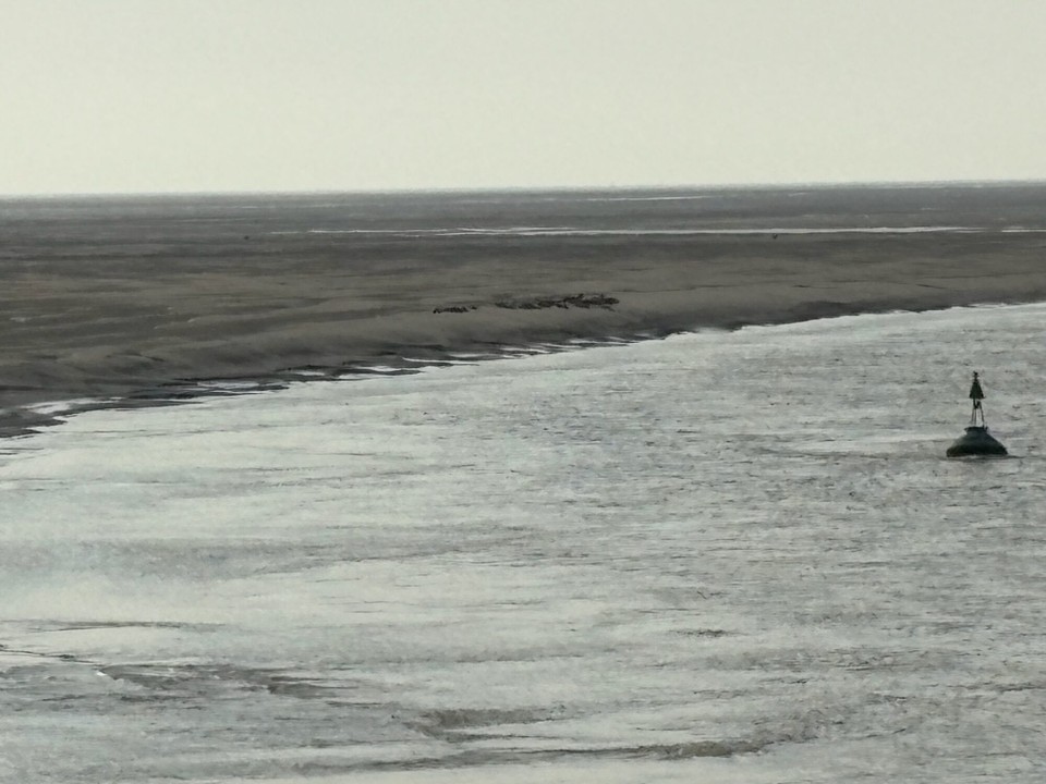 Frankreich - Cayeux-sur-Mer - 