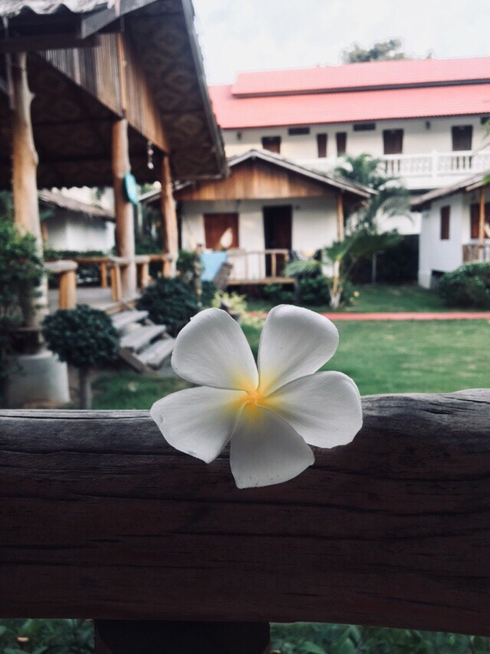 Thailand - Amphoe Ko Pha-ngan - 🧡