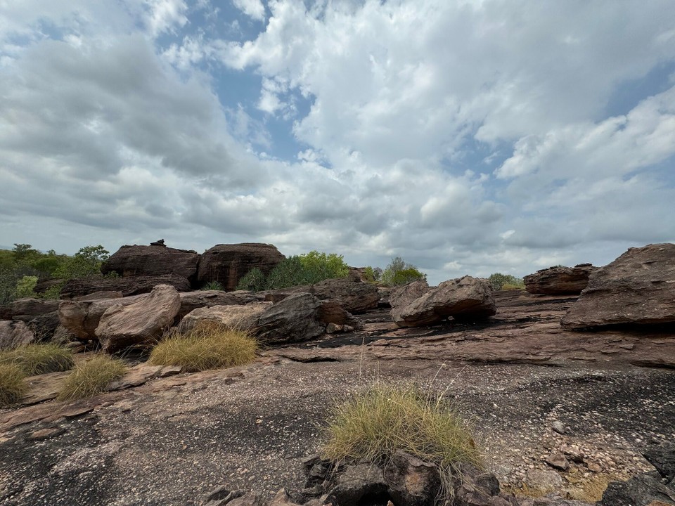 Australien - Kakadu - 