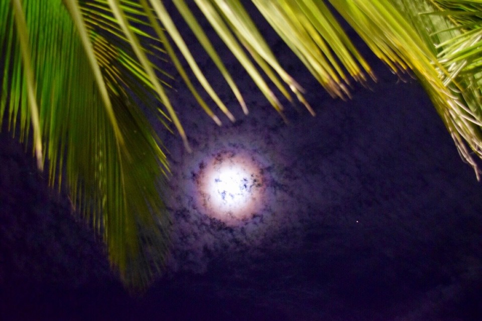 Mexiko - Veracruz - Das war es dann für heute, gute Nacht 😴 