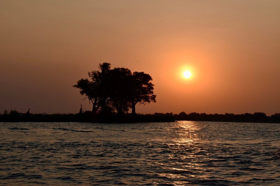 Botsuana -  - So nun ist Schluss für heute.
Fazit, die Flusssafari war schön, jedoch konnte sie nicht an unsere Flussfahrt in Uganda heranreichen.
Da es morgen früh los geht, verabschieden wir uns, bis morgen.