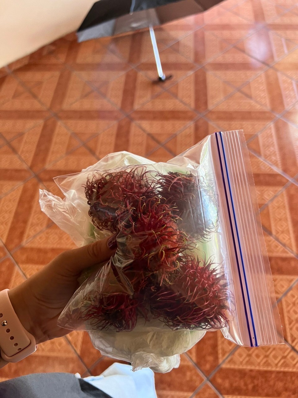 Costa Rica - Matina - Mis Gastmami isch so e härzigi. Well sie weiss, dasi die Frücht liebe het sie extra vill bim buur kauft und git mer die jede Morge füre z‘Mittag mit