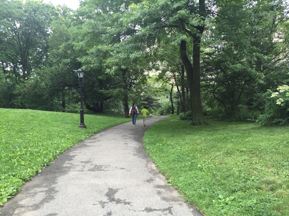 1. Tag New York (Central Park) -  - 