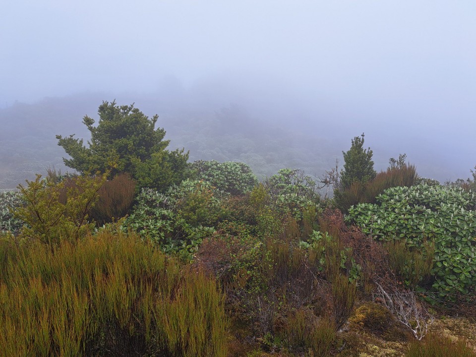 Neuseeland - Waikanae - 