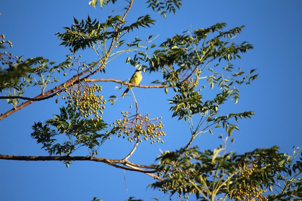 Argentinien - Reserva Ecológica de Buenos Aires - 