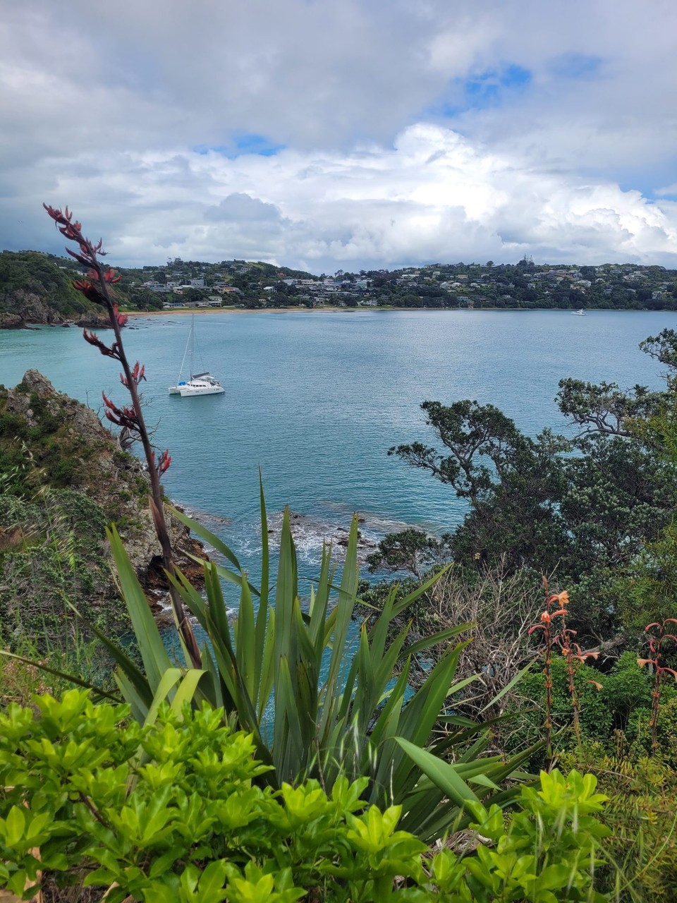 Neuseeland - Waiheke Island - 