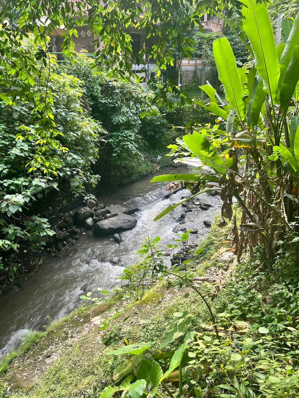 Indonesien - Gianyar - 