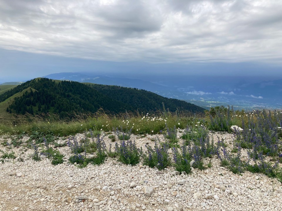Ort bestimmen … -  - Richtung Westen, Regen