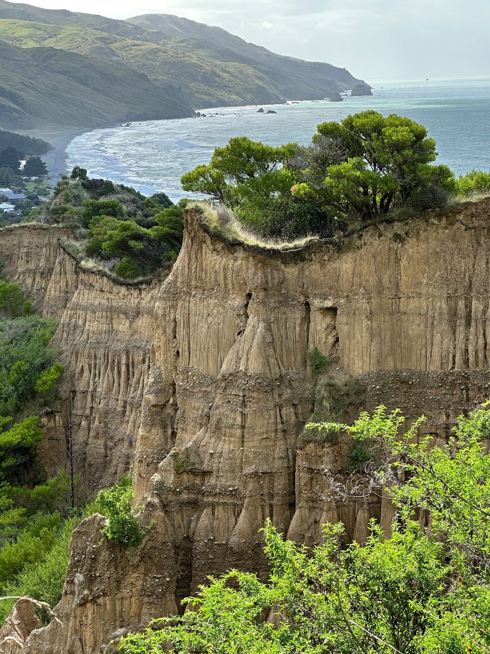 Neuseeland - Christchurch - The Cathedral Cliffs an der Ostküste costline