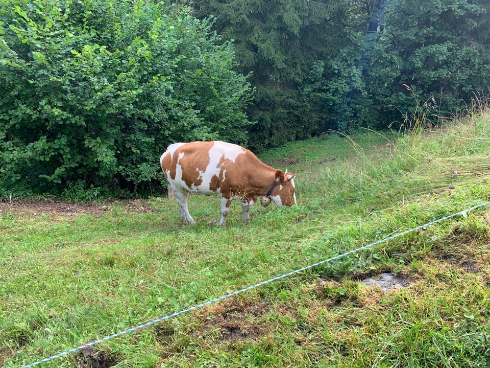 Österreich - Söll - 