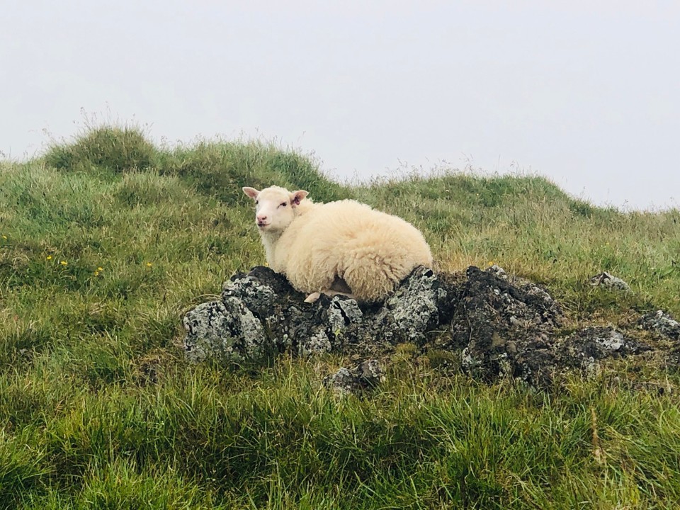 Island - Húnaþing vestra - Sieht nicht wirklich gemütlich aus, oder?!