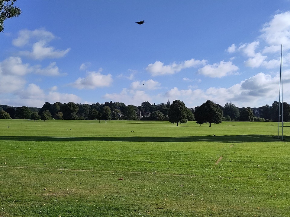 Vereinigtes Königreich - Perth - Park in Perth