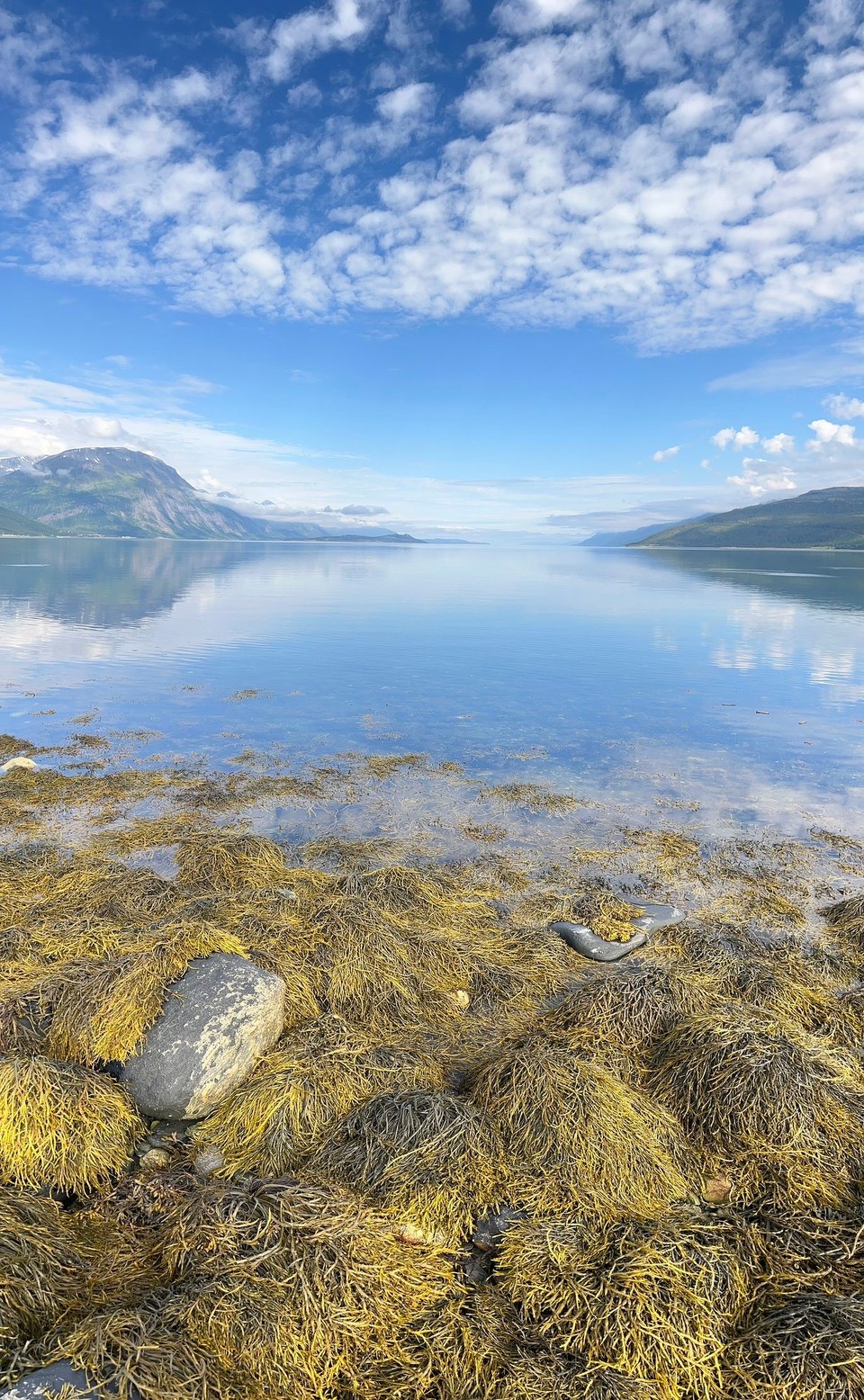 Norwegen - Skibotn - Traumhafte Kulisse…