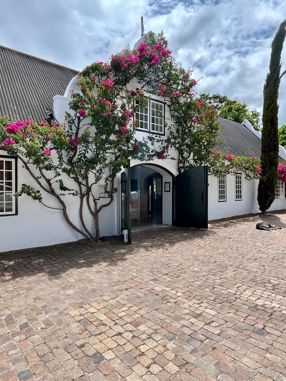Südafrika - Stellenbosch - 