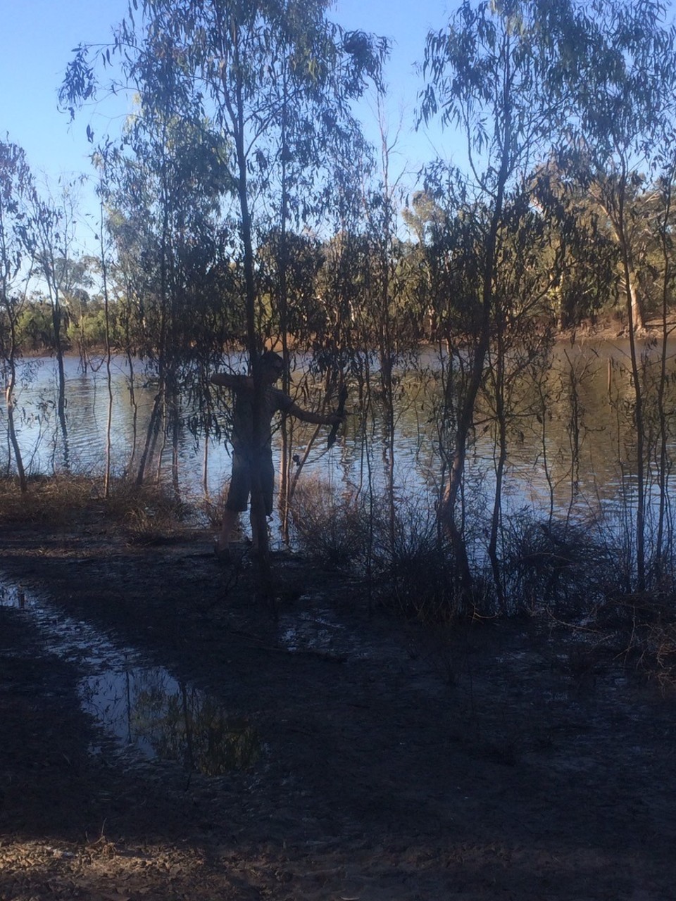 Australia - Merbein - Carpe shooting. 