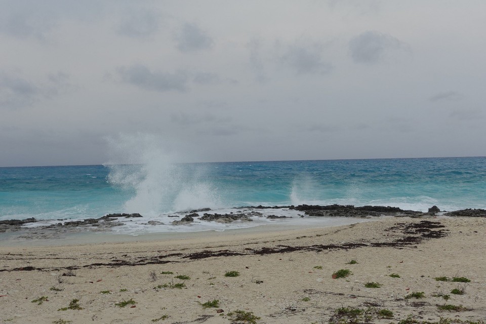 Bahamas - Ocean Cay – MSC Marine Reserve - Nordküst mat ville Wellen