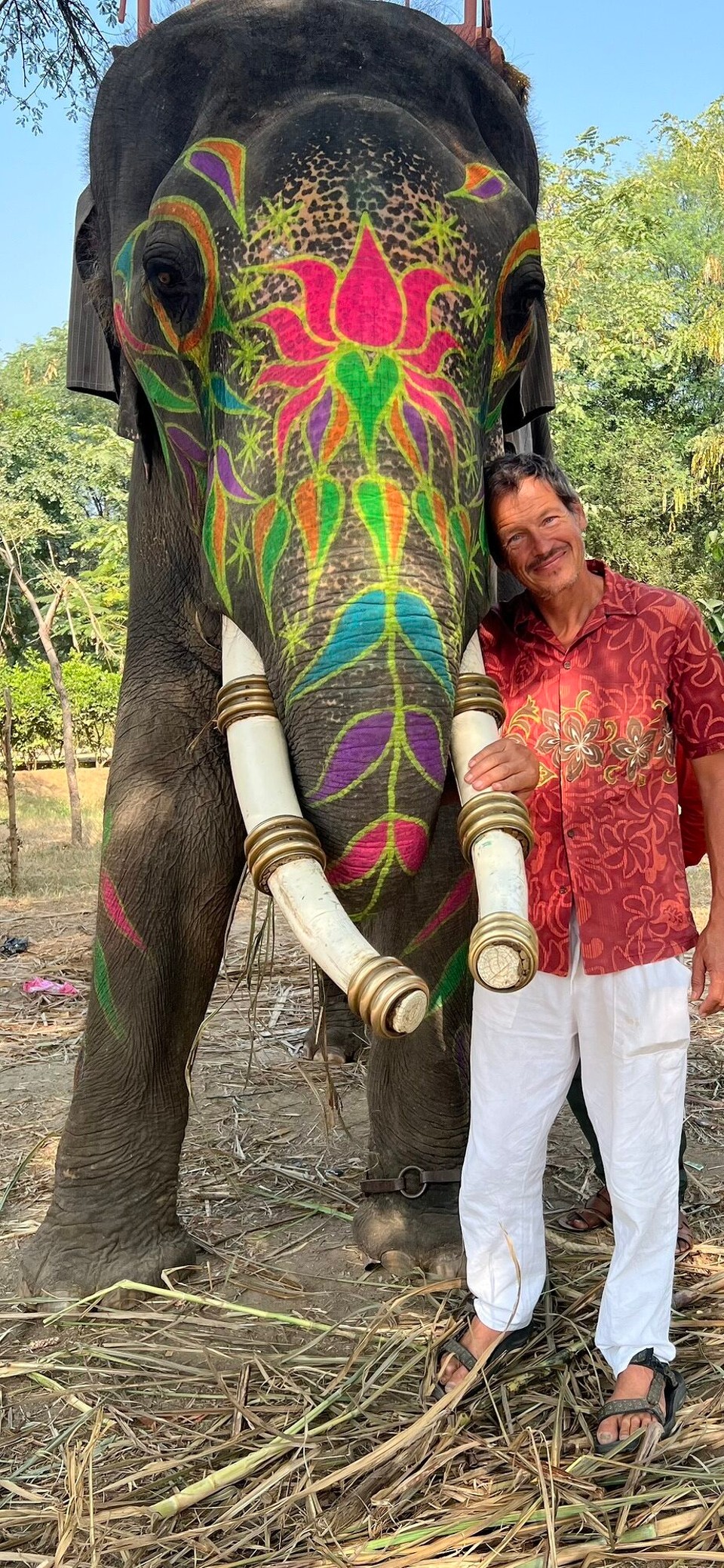 Indien - Jaipur - Finanziert wird es durch Einnahmen der Touristen, die hier Elefanten reiten, waschen füttern oder streicheln dürfen. 