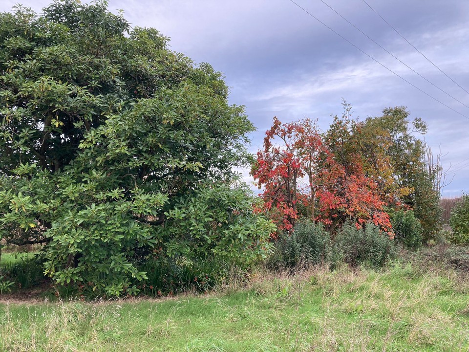 Neuseeland - Manutuke - 