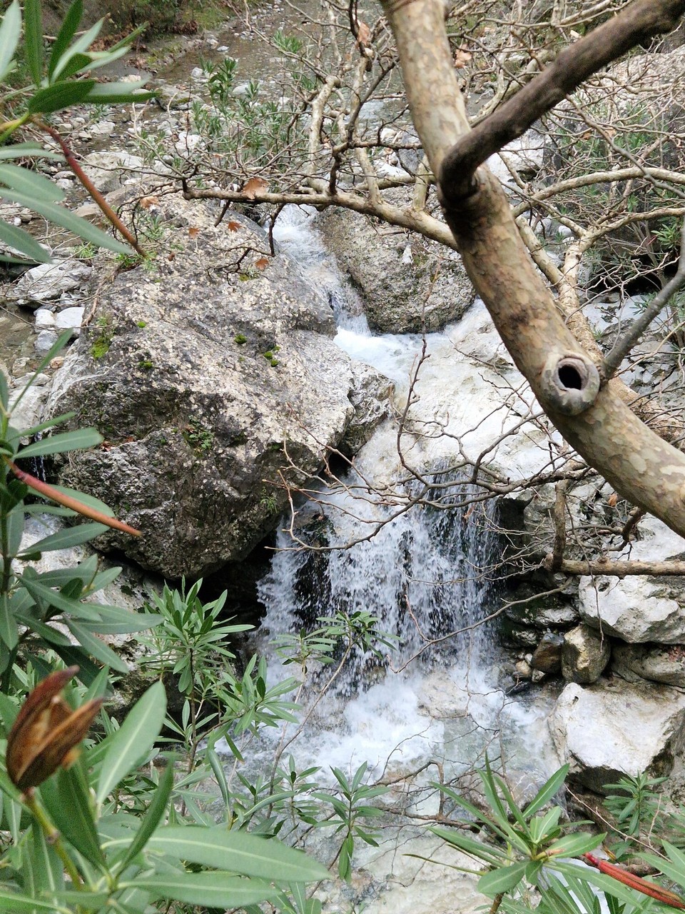 Griechenland - Mystras - 