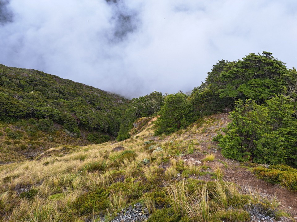 Neuseeland - Blue Lake - 