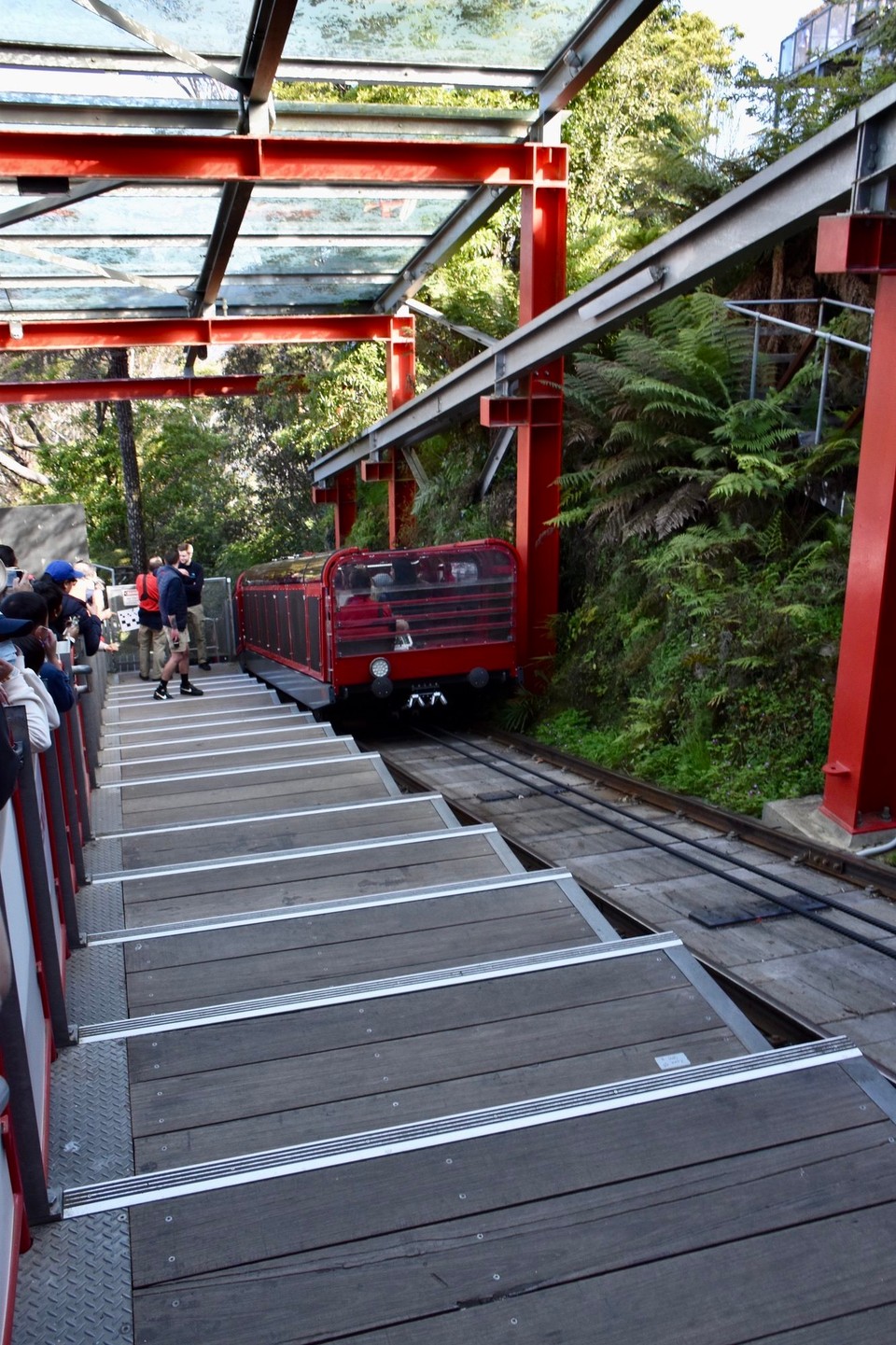 Australien - Blue Mountains National Park - Ins Tal hinab fuhren wir dann mit einer Railway, 52 Grad Gefälle kitzeln schon im Bauch.