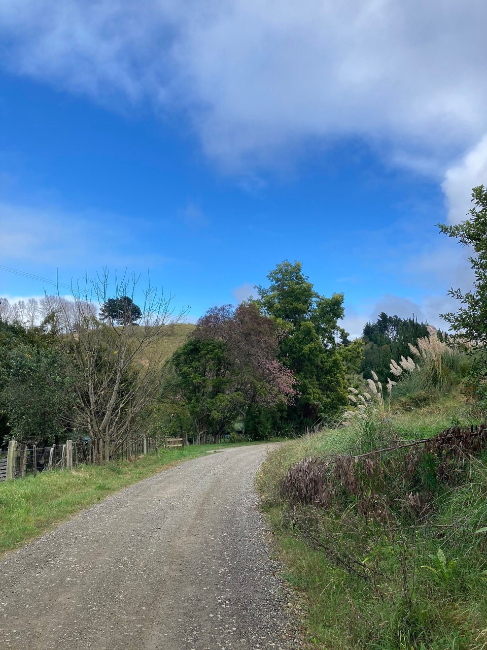 Neuseeland - Gisborne - Hurra hurra der Herbst ist da 😀