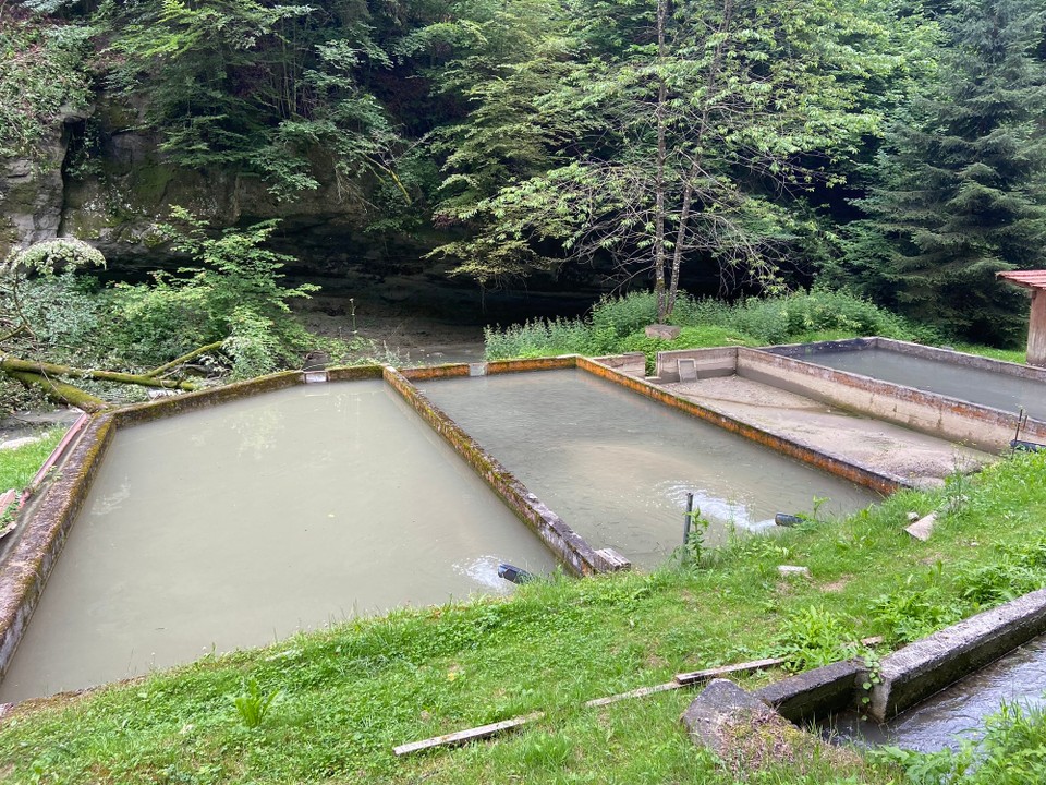 Schweiz - Bourguillon - 