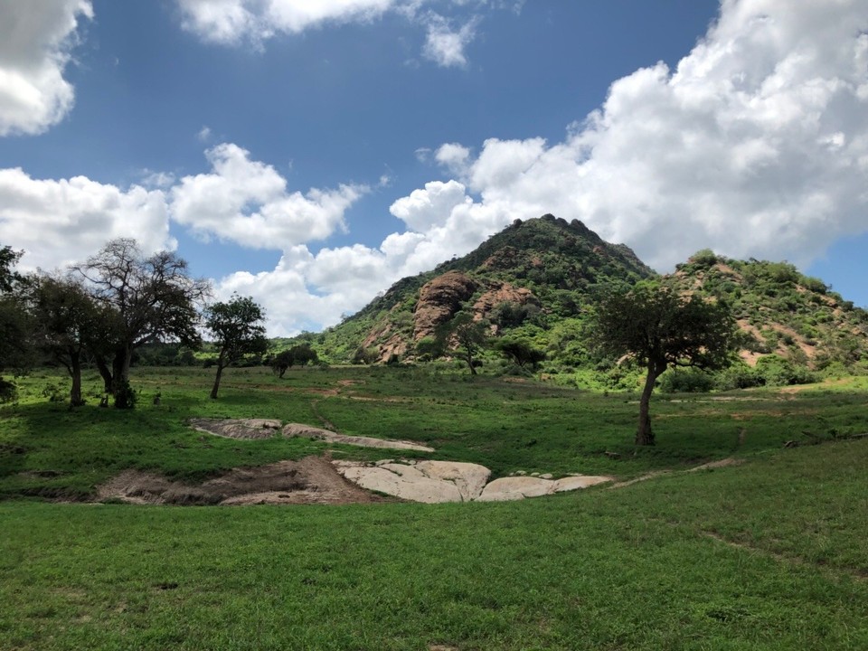 Kenia - Taita - 
