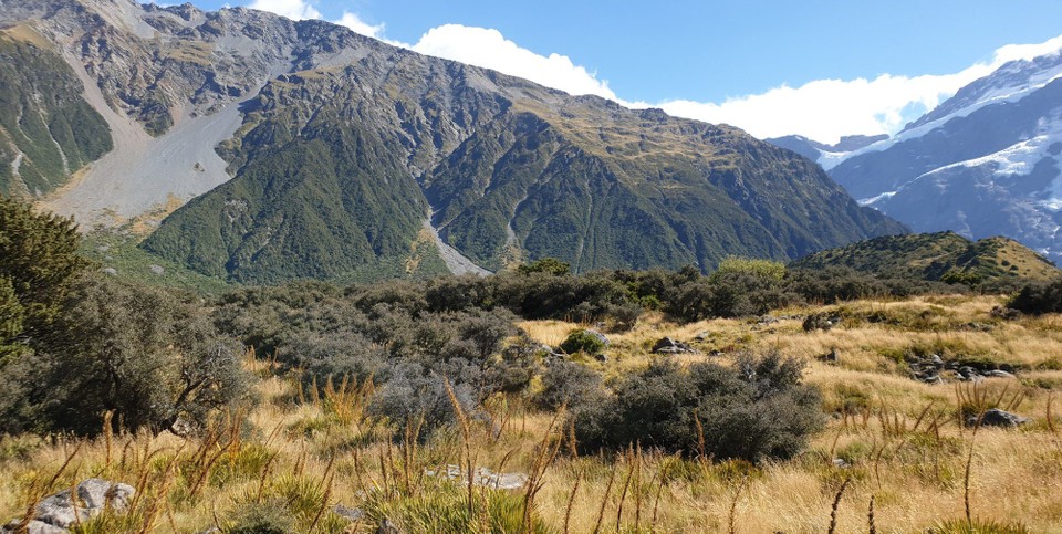 Neuseeland - Aoraki - 