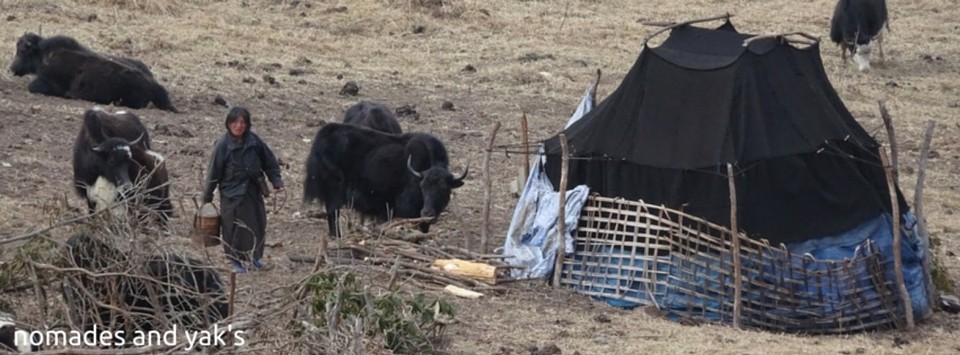 Bhutan - Gangtey (dewachen hotel) - 