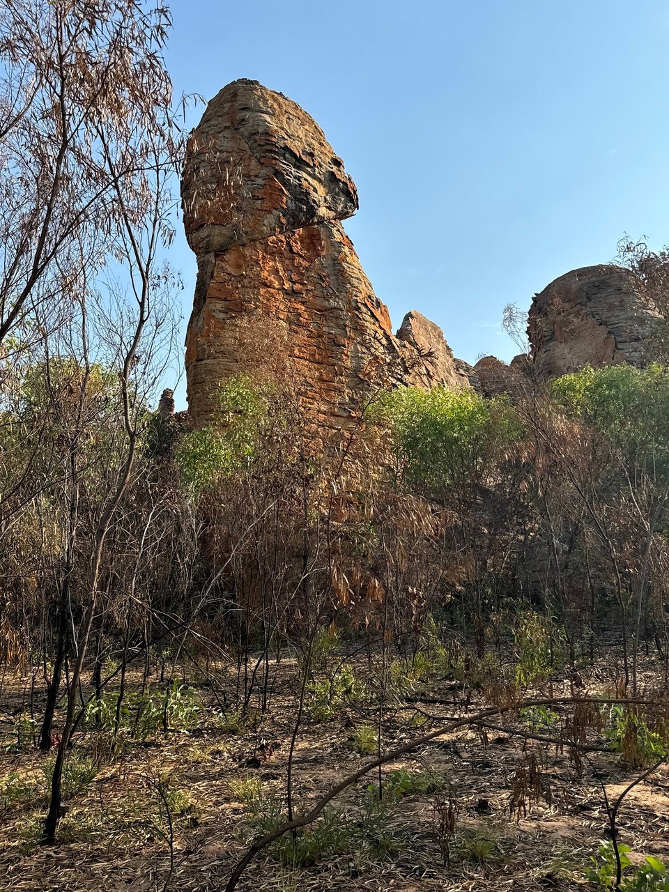 Australien - Limmen - 