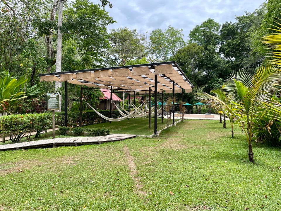 Mexiko - Palenque - 