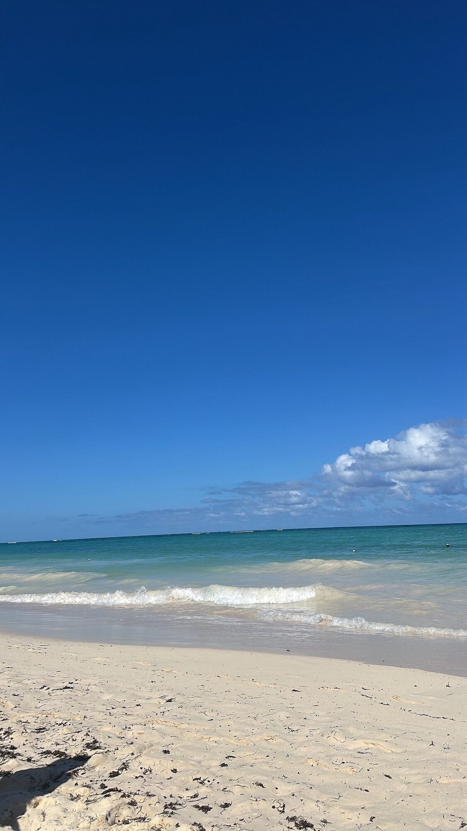 Dominikanische Republik - Punta Cana - 