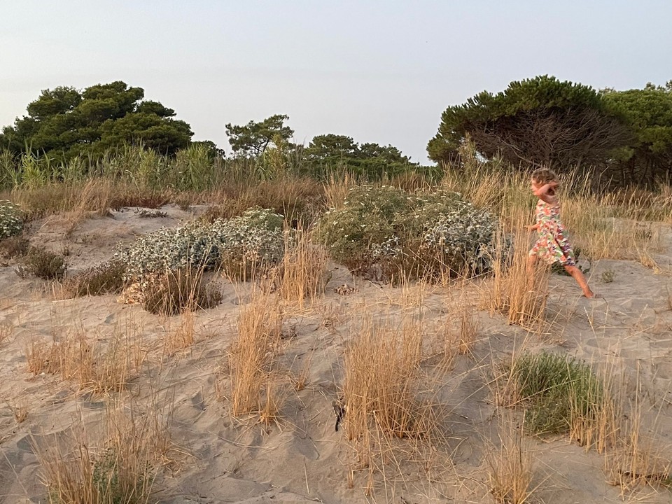 Frankreich - Agde - 