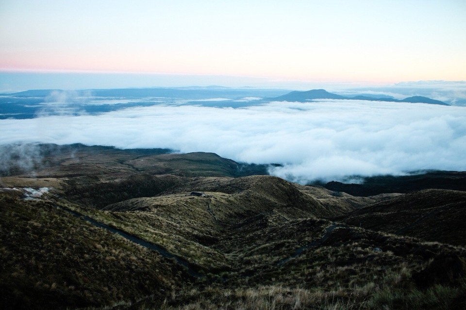 Neuseeland -  - 