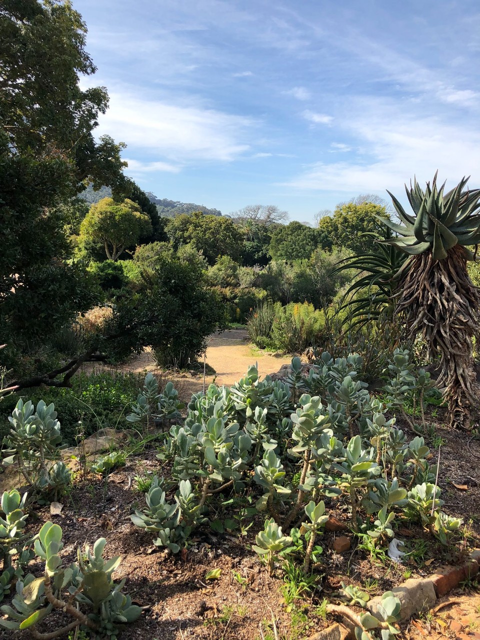 Südafrika - Cape Town - 