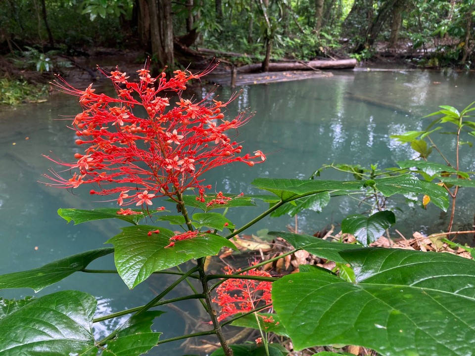 Laos - Luangprabang - 