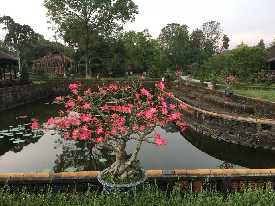 Vietnam - Huế - 