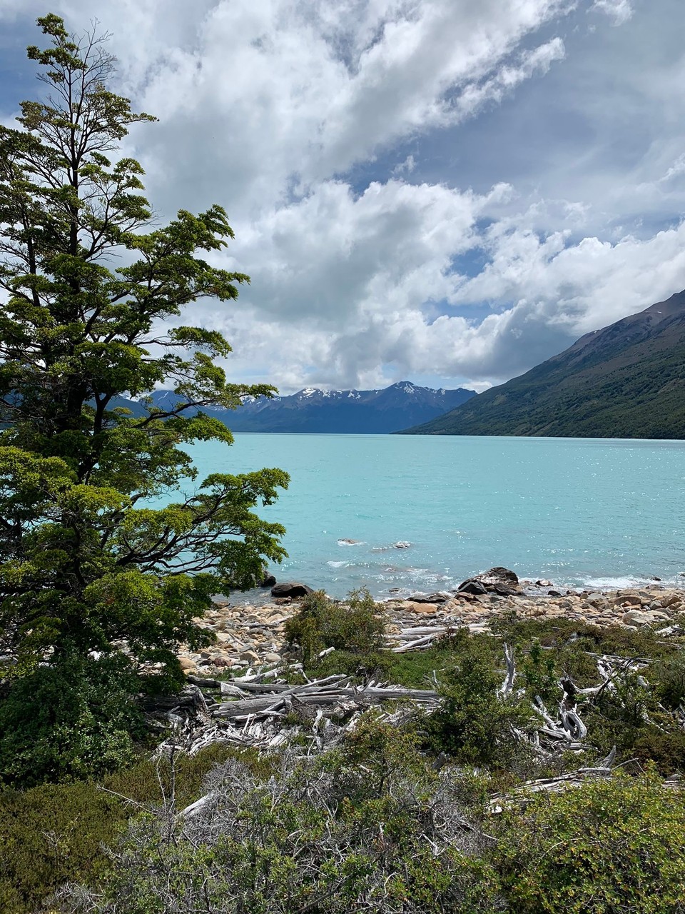 Argentinien - El Calafate - 