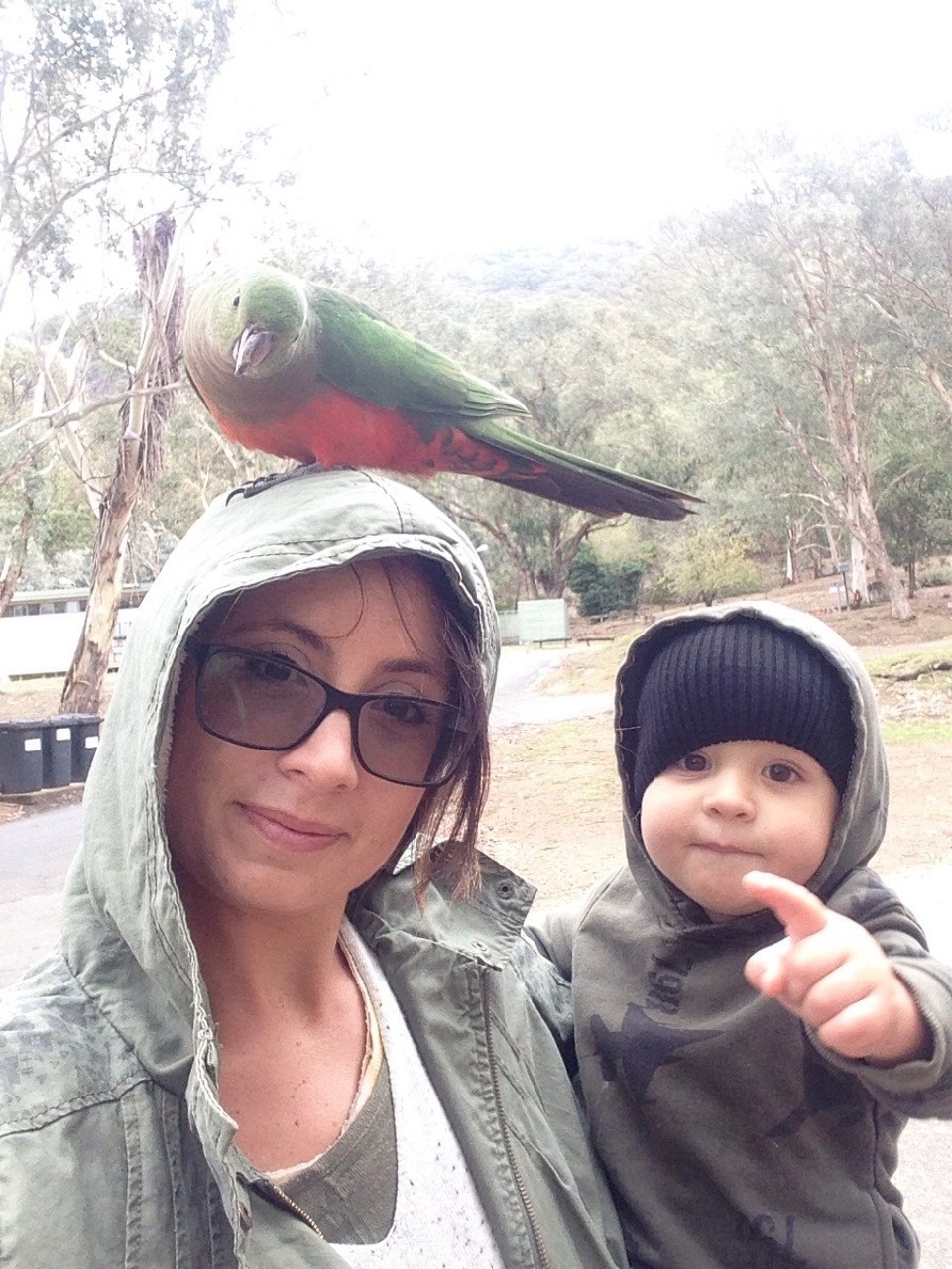 Australia - Burrinjuck - 