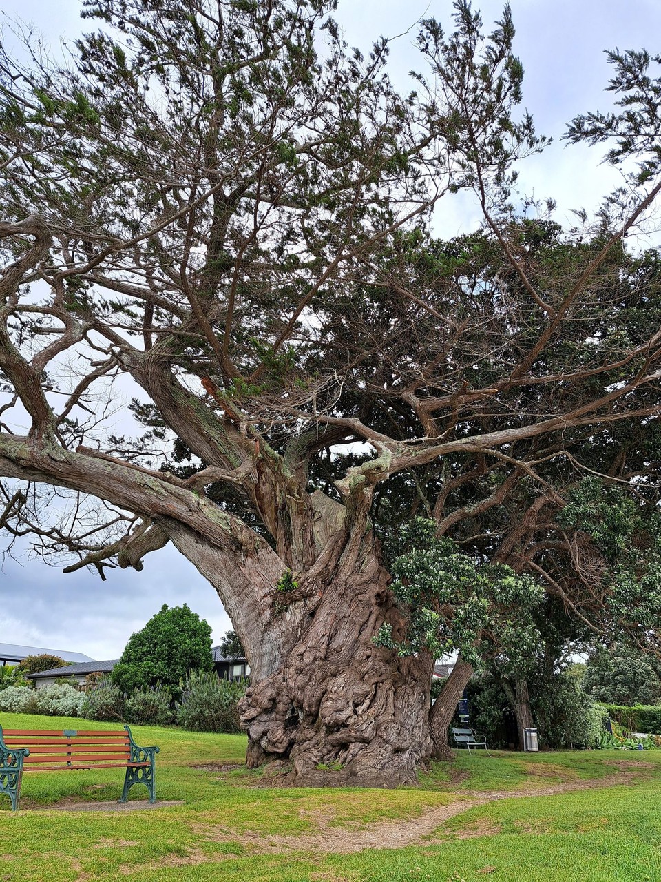 Neuseeland - Auckland - 