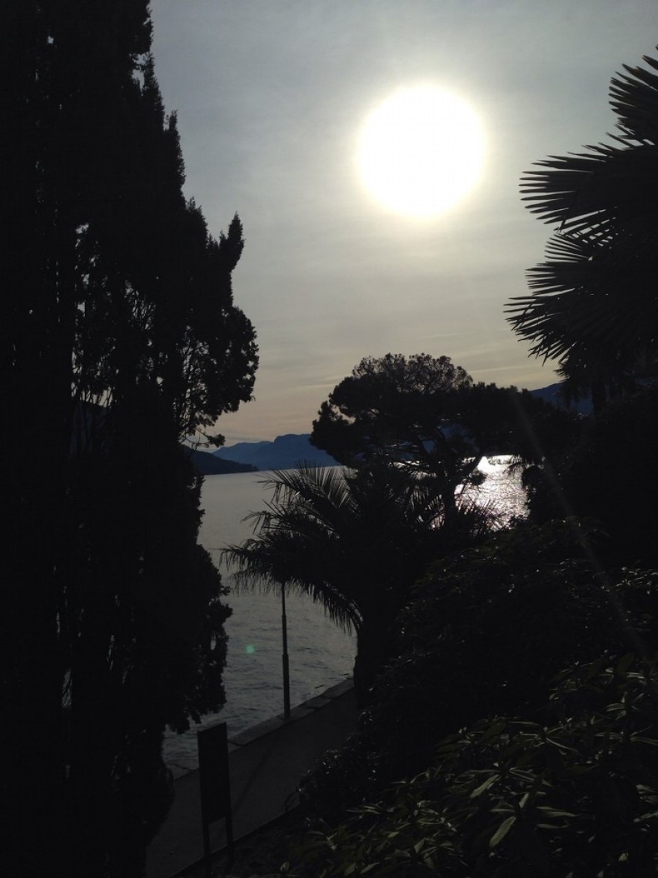 Schweiz - Brissago - 