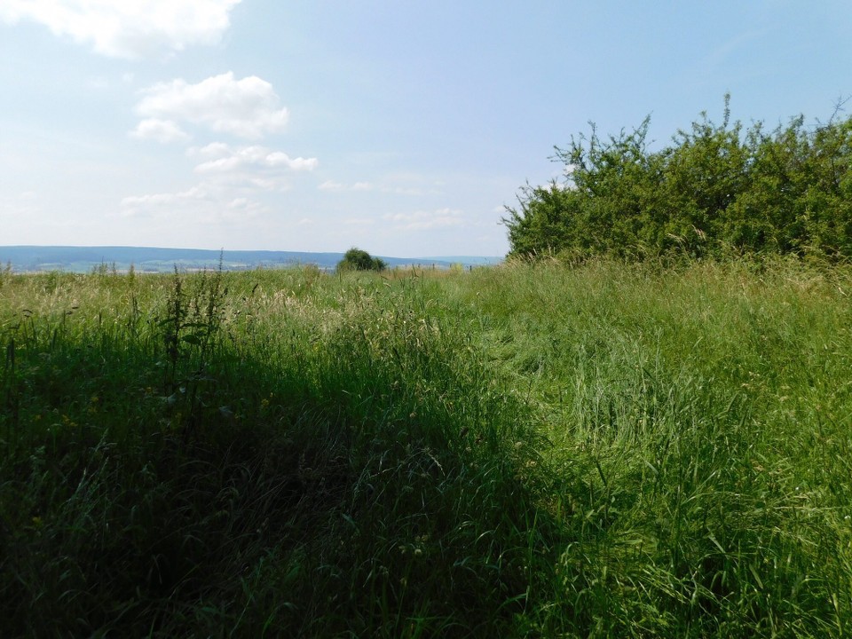 Deutschland - Springe - 