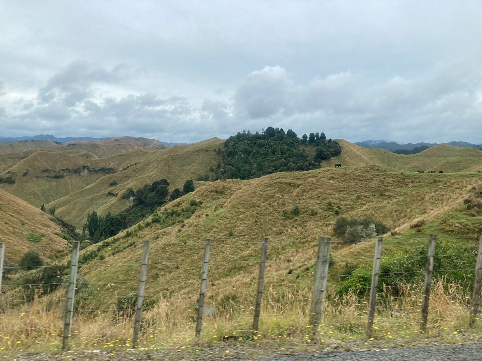 Neuseeland - Wanganui - 